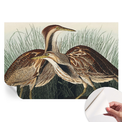 Papier peint photographique autocollant Oiseaux réalistes