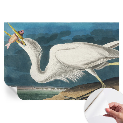 Papier peint photographique autocollant Oiseau avec poisson