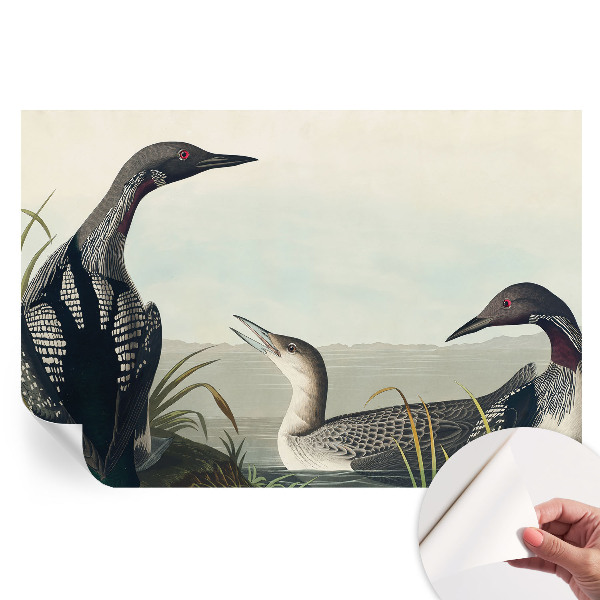 Papier peint autocollant pour le salon Oiseaux au-dessus de l'eau