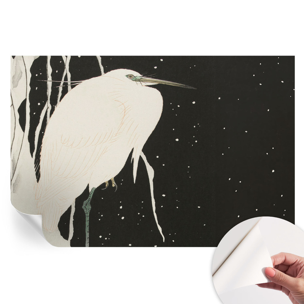Papier peint photographique autocollant Oiseau hivernant