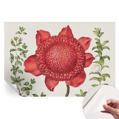 Papier peint autocollant pour le salon élégance florale