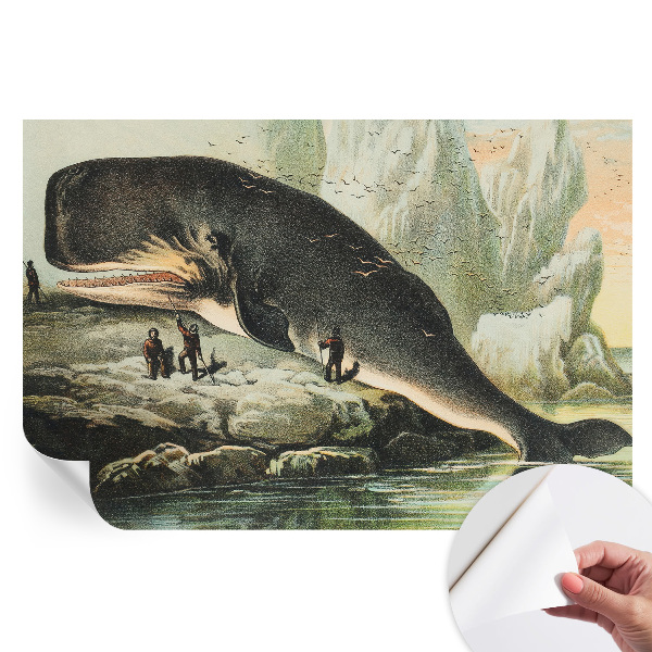 Papier peint photographique autocollant Gigantisme marin