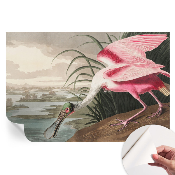 Papier peint photo autocollant pour la chambre Oiseau exotique