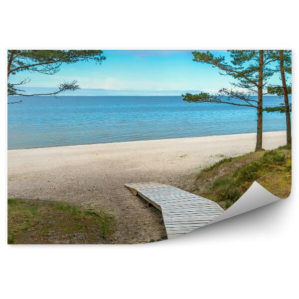 Papier peint Pont Plage Arbres Océan Vert
