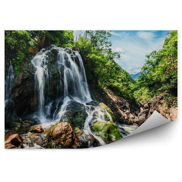 Papier peint Forêt Nature Vert Cascade Roches