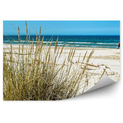 Papier peint Dunes d'herbe Plage Mer Baltique