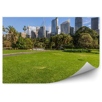 Papier peint Parc de Sydney Verdure Palmes Architecture