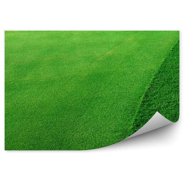 Papier peint Terrain de golf herbe verte coupée