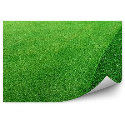 Papier peint Terrain de golf herbe verte coupée