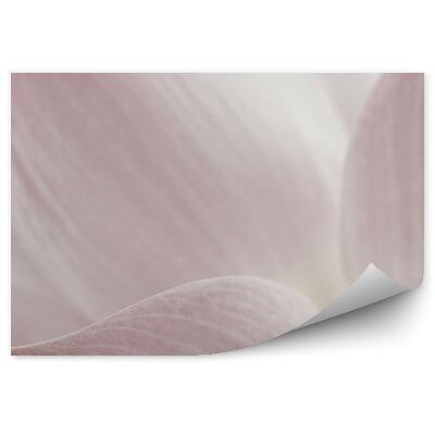 Papier peint Fleur de lotus rose floue fond blanc