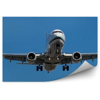 Papier peint Avion jet ciel vol