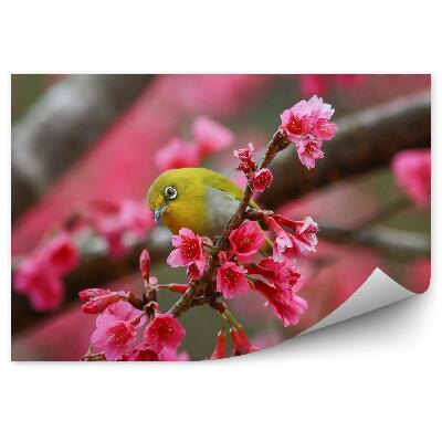 Papier peint Oiseau jaune sur un arbre fleuri avec des fleurs roses