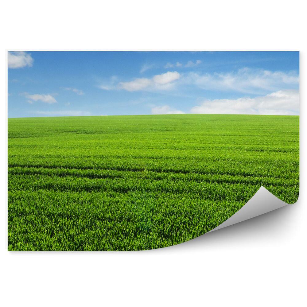 Papier peint Herbe Champs Ciel Nuages