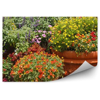 Papier peint Fleurs en pot colorées Bloom