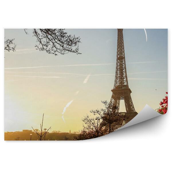 Papier peint Vue de la tour eiffel au printemps