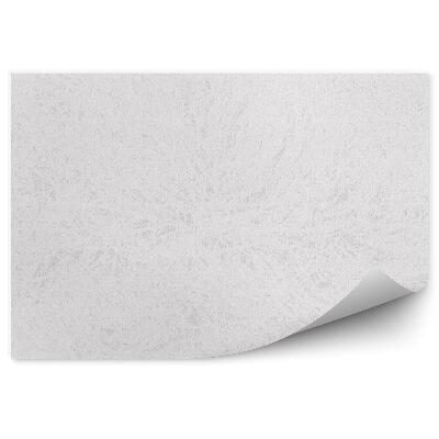 Papier peint Motif gris blanc fond givré