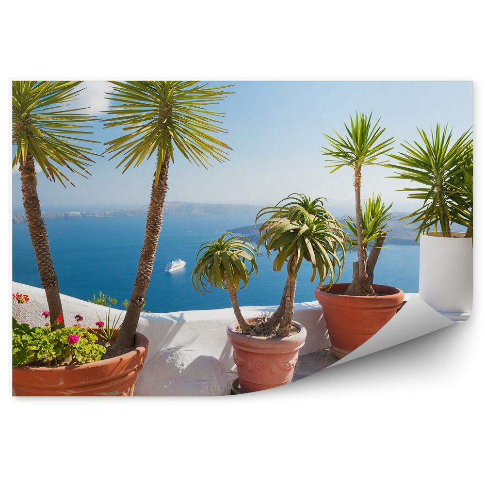 Papier peint Palmiers Cactus Pots Terrasse Yacht Océan Montagne Ciel Nuages