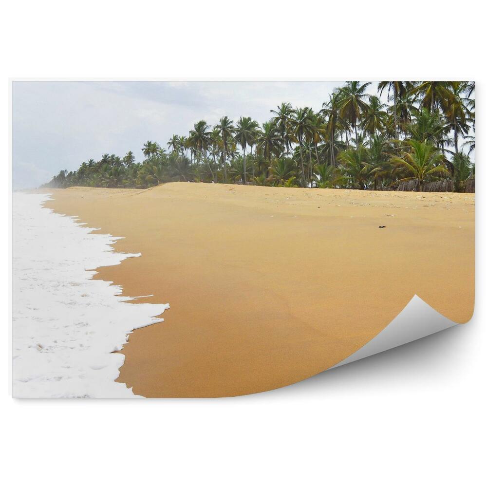 Papier peint Plage De L'océan Tropical Palmiers Côte D'ivoire