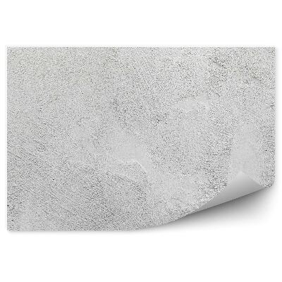 Papier peint Mur en béton blanc