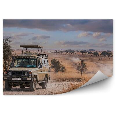 Papier peint Fumée Poussière Sable Voyage Safari Ciel Nuageux