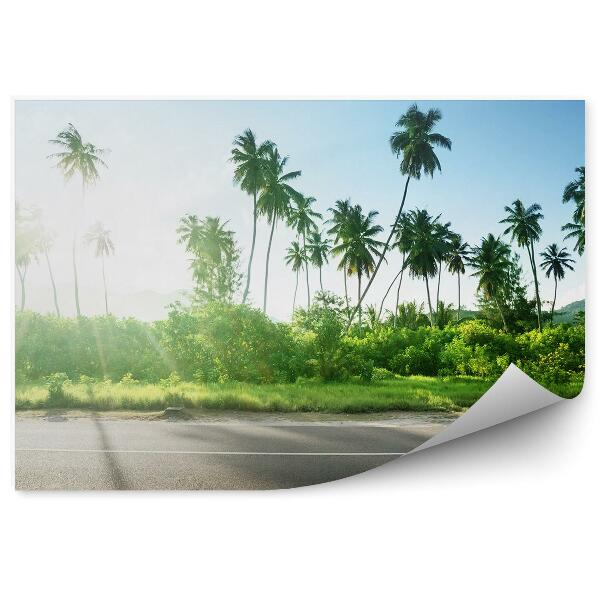 Papier peint Route vide Jungle Arbres Plantes Ciel et nuages Seychelles