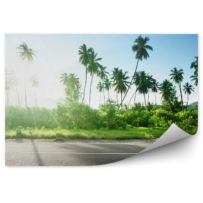 Papier peint Route vide Jungle Arbres Plantes Ciel et nuages Seychelles