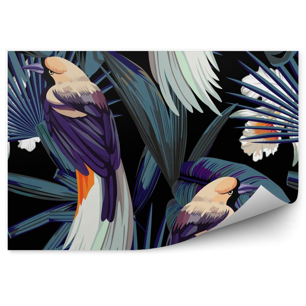 Papier peint Oiseaux, orchidées et nuit de la jungle
