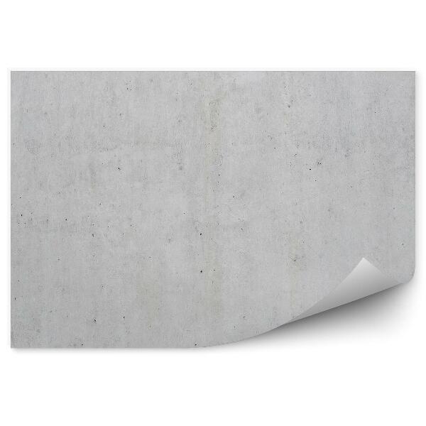 Papier peint Mur en béton armé clair