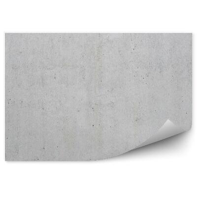 Papier peint Mur en béton armé clair