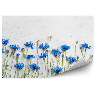 Papier peint Bleuets simples sur un tableau blanc