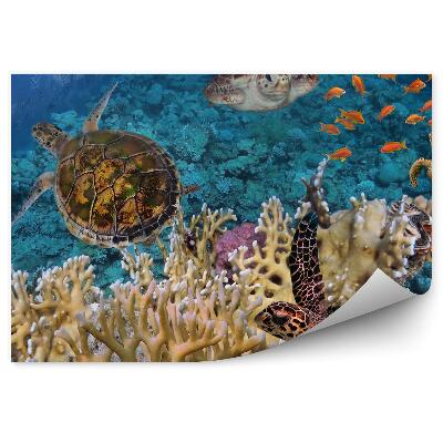 Papier peint Tortue Et Récif Corallien