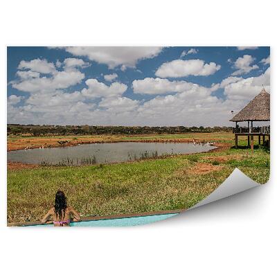 Papier peint Piscine Savane Oiseaux Montagnes Ciel Nuages Arboretum