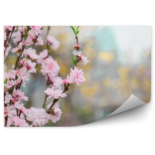Papier peint Cerisier en fleur nature flore jardin chine