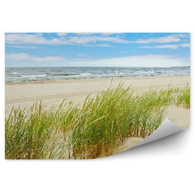 Papier peint Herbe Dune Plage Pologne Mer Baltique