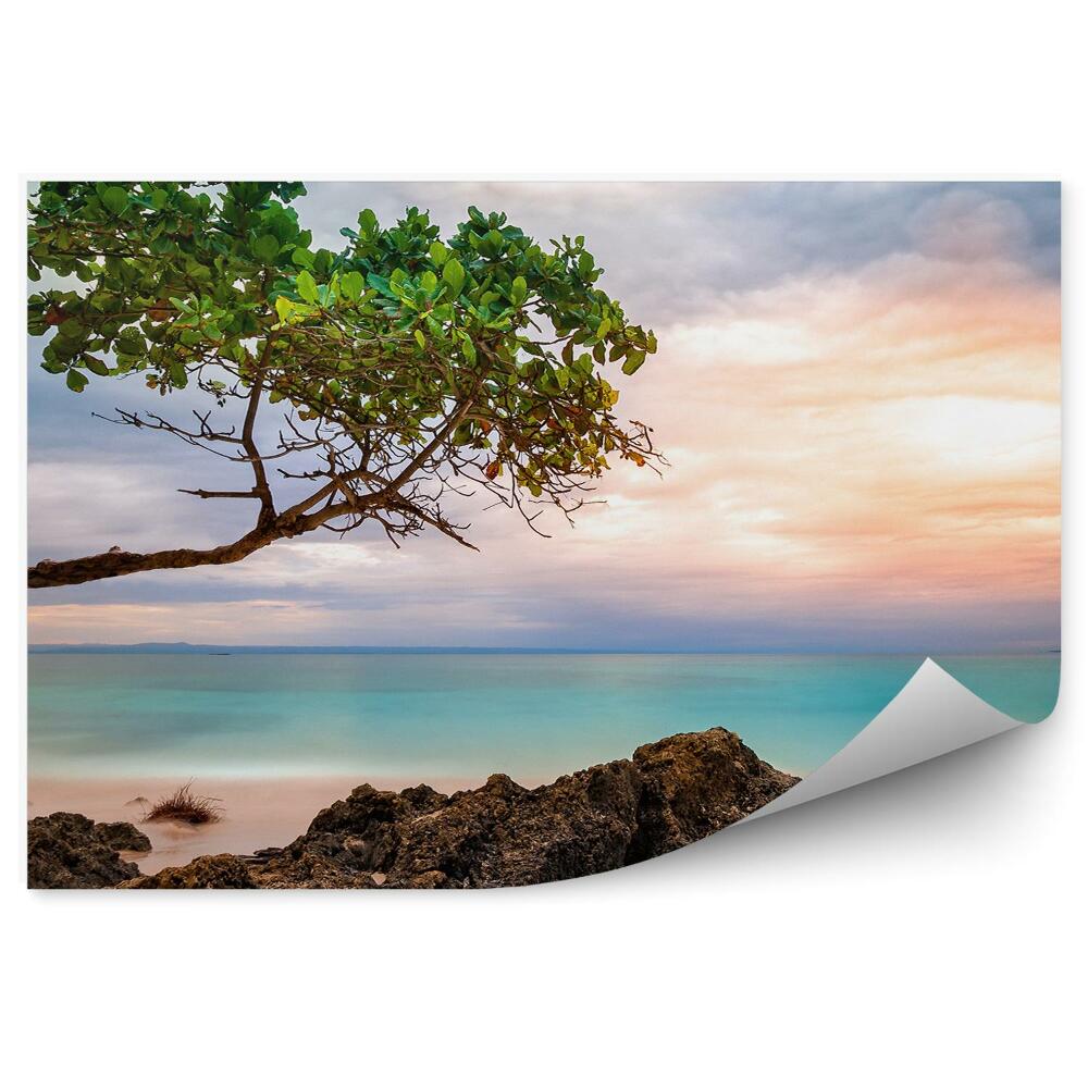 Papier peint Paysage Exotique Rochers Arbre Incliné Mer Coucher De Soleil Nuages