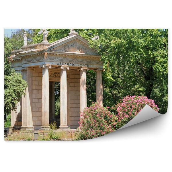 Papier peint Jardin de la Villa Borghese Arbres Fleurs Rome