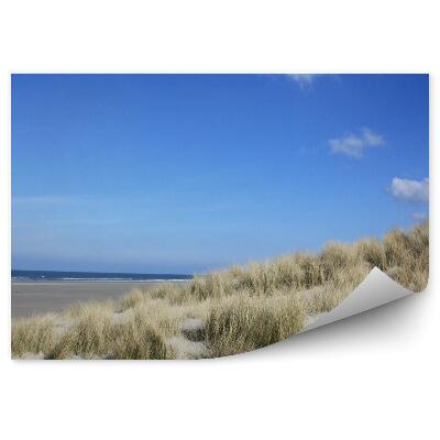 Papier peint Océan Dunes Plage Herbe Île Terschelling Ciel Nuages