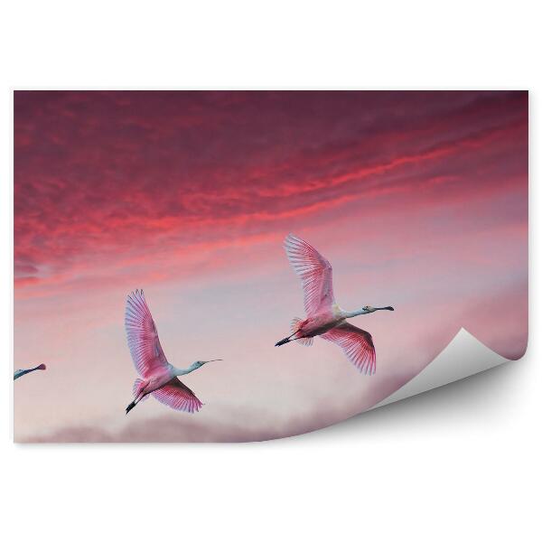 Papier peint Panorama Ciel Nuages Oiseaux Roses