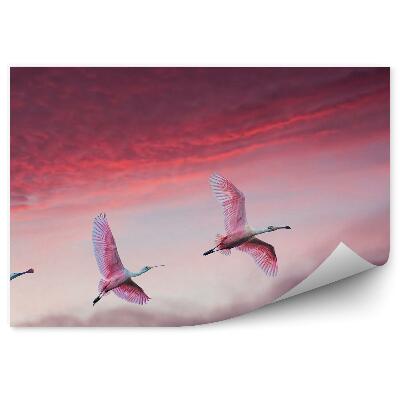 Papier peint Panorama Ciel Nuages Oiseaux Roses