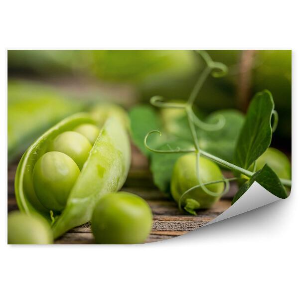 Papier peint Boules de pois vertes Brindille Table en bois