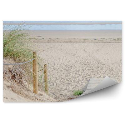 Papier peint Plate-Forme Plage Herbe Océan Nuages Ciel