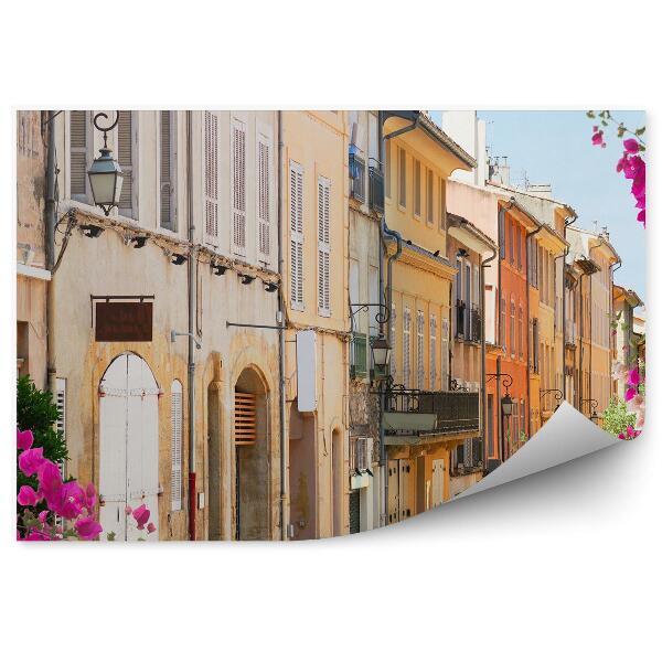 Papier peint Belle vieille ville de Provence Fleurs Avenue France