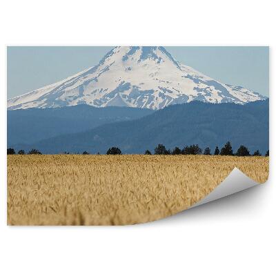 Papier peint Champ De Blé Arbres Montagne Capot Origan Ciel