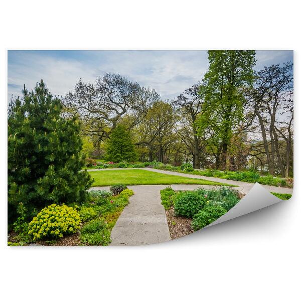 Papier peint Toronto Jardin vert Arbustes Arbres