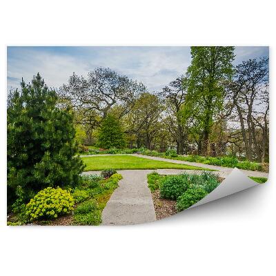 Papier peint Toronto Jardin vert Arbustes Arbres