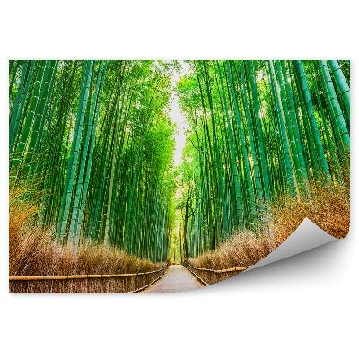 Papier peint Japon forêt de bambous chemin route