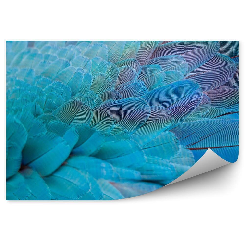 Tapisserie panoramique Motif de plumes bleues