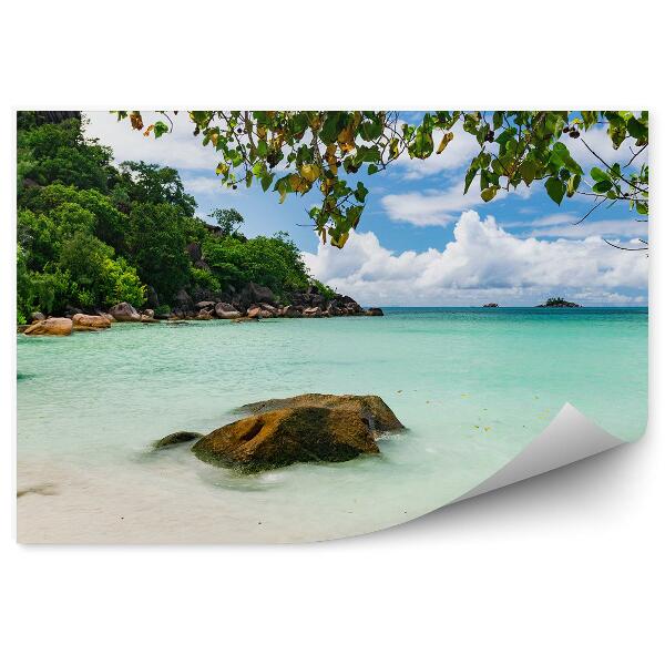 Papier peint Tropical Beach Ocean Rocks Plants Trees Sky Clouds Seychelles