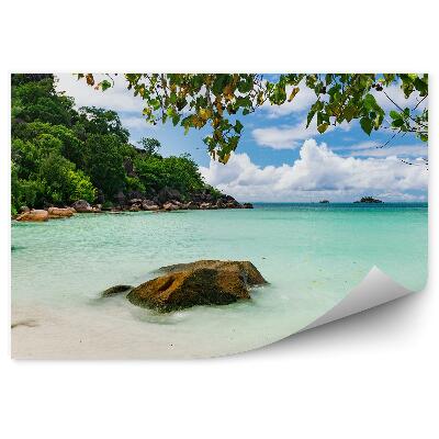 Papier peint Tropical Beach Ocean Rocks Plants Trees Sky Clouds Seychelles