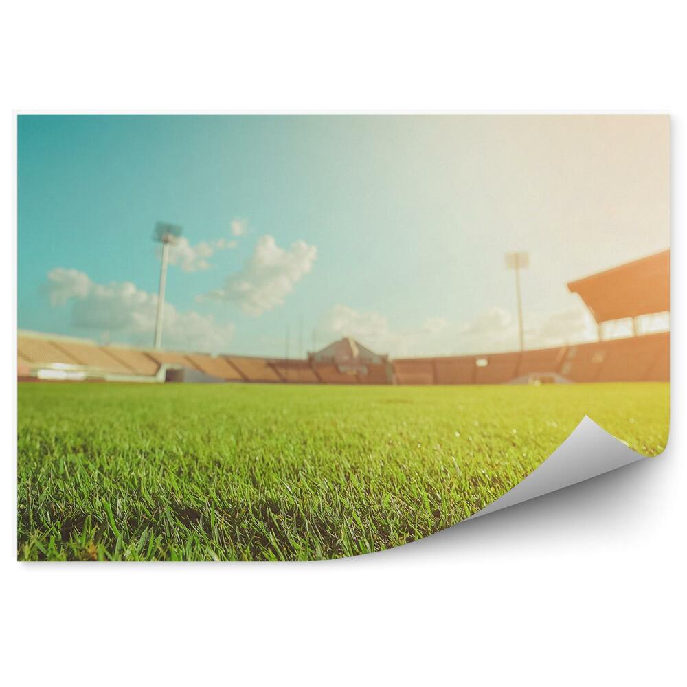 Papier peint Stade de football en gazon vert